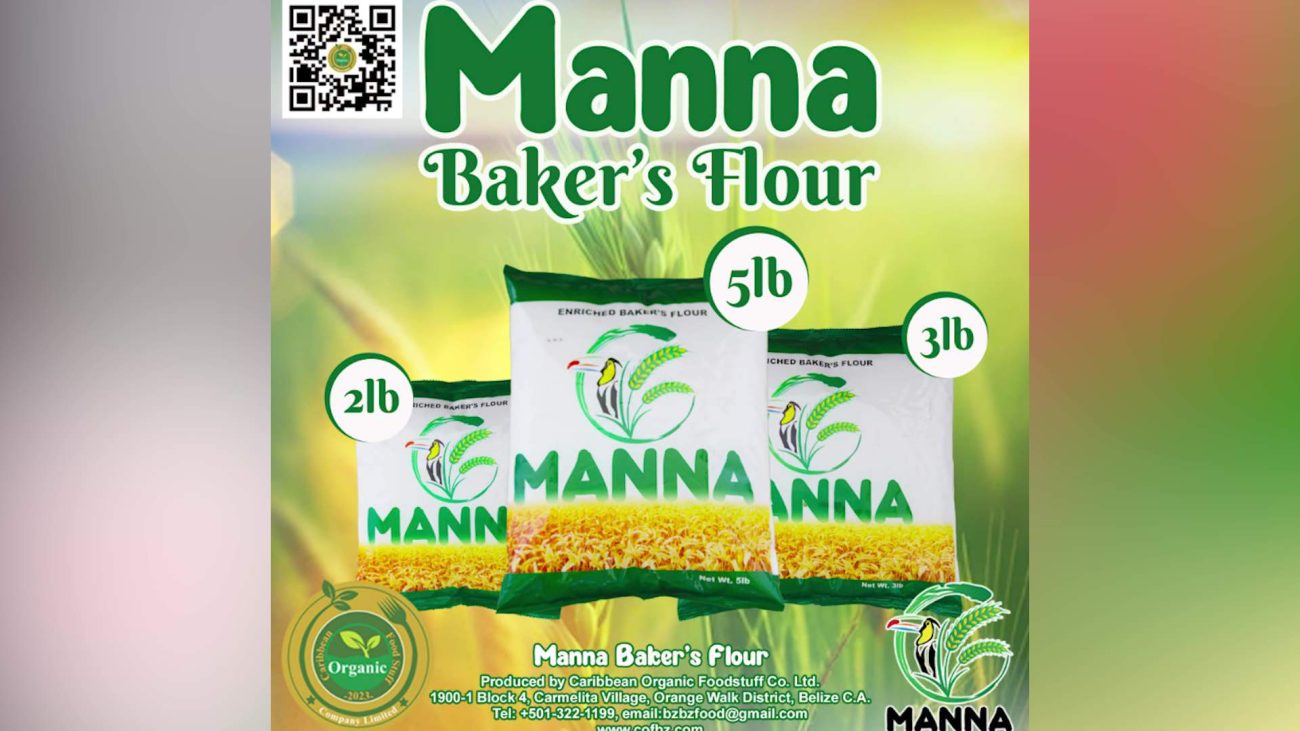 Caribbean Organic Foodstuff Promises Cheaper, Better Flour