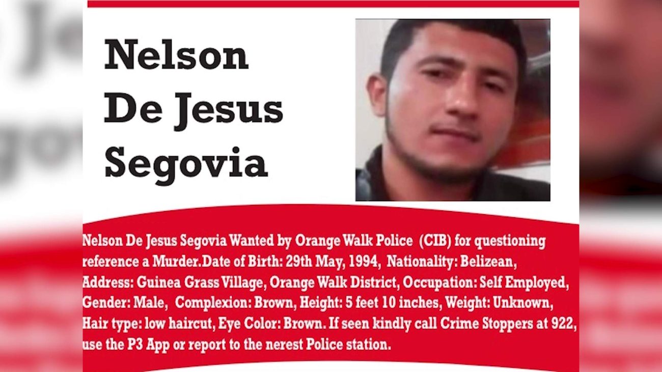 High Court Denies Bail Again in Guinea Grass Murder Case  