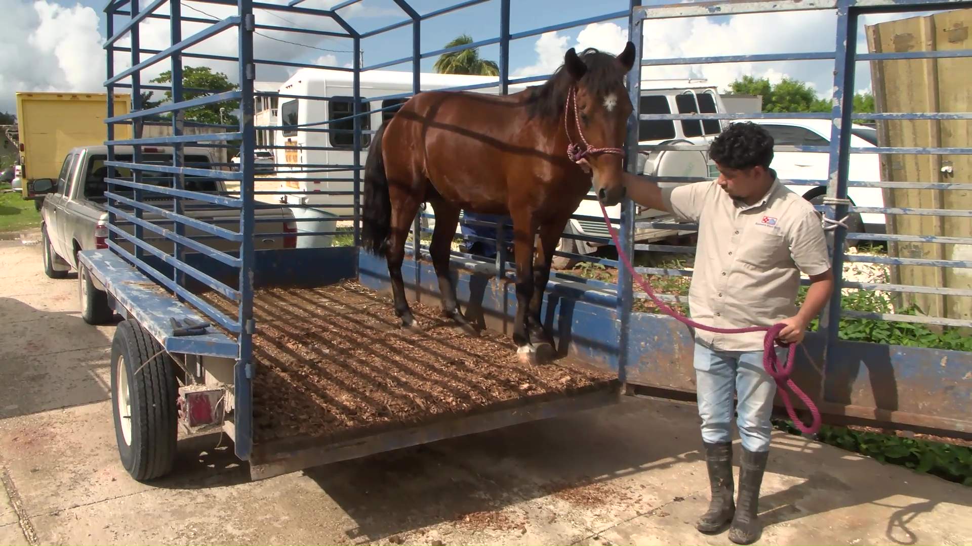 Wannie’s Emotional Homecoming After Brutal Attack