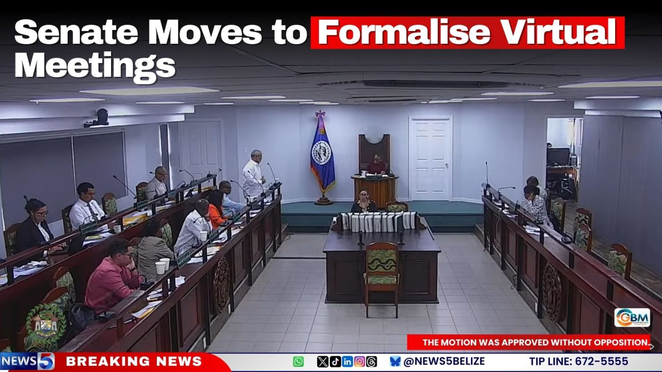 Senate Moves to Formalise Virtual Meetings