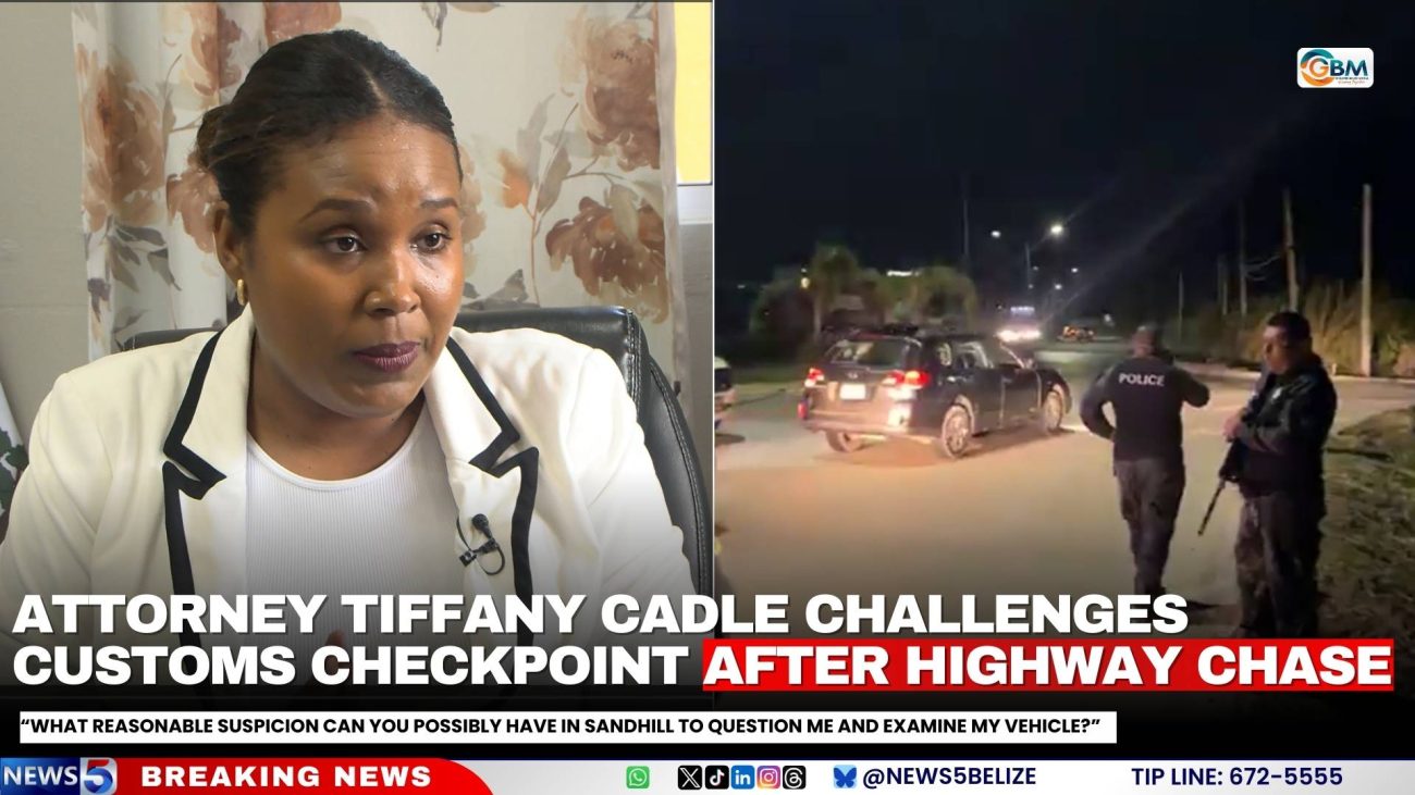 Attorney Tiffany Cadle Challenges Customs Checkpoint After Highway Chase