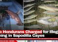 Two Hondurans Charged for Illegal Fishing in Sapodilla Cayes