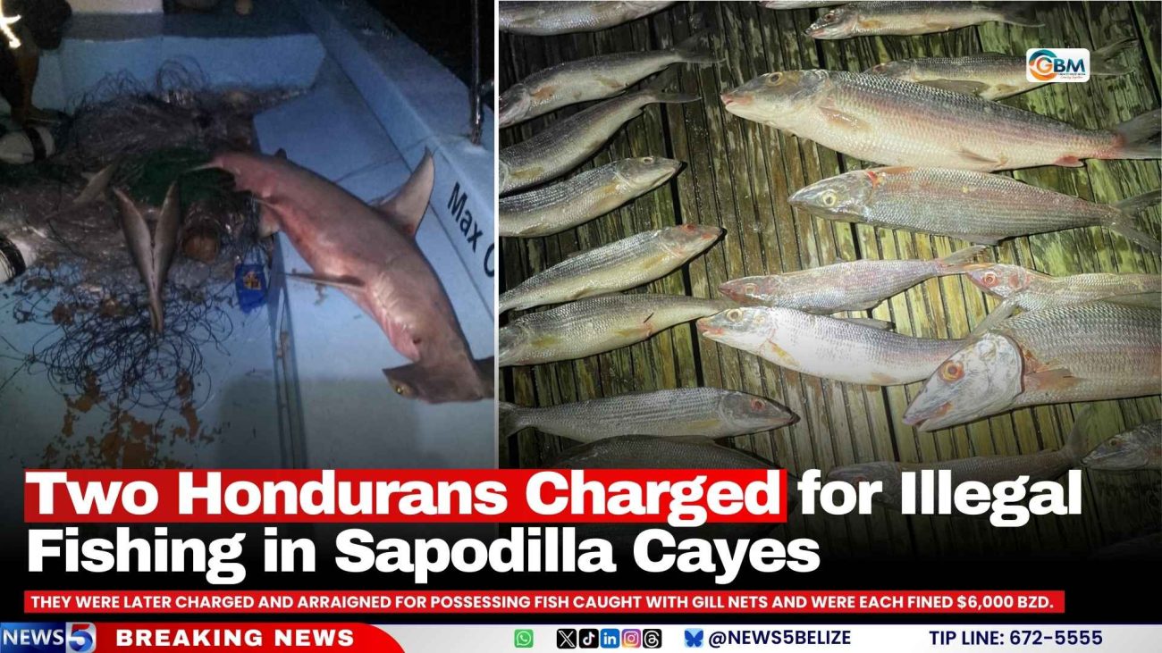 Two Hondurans Charged for Illegal Fishing in Sapodilla Cayes