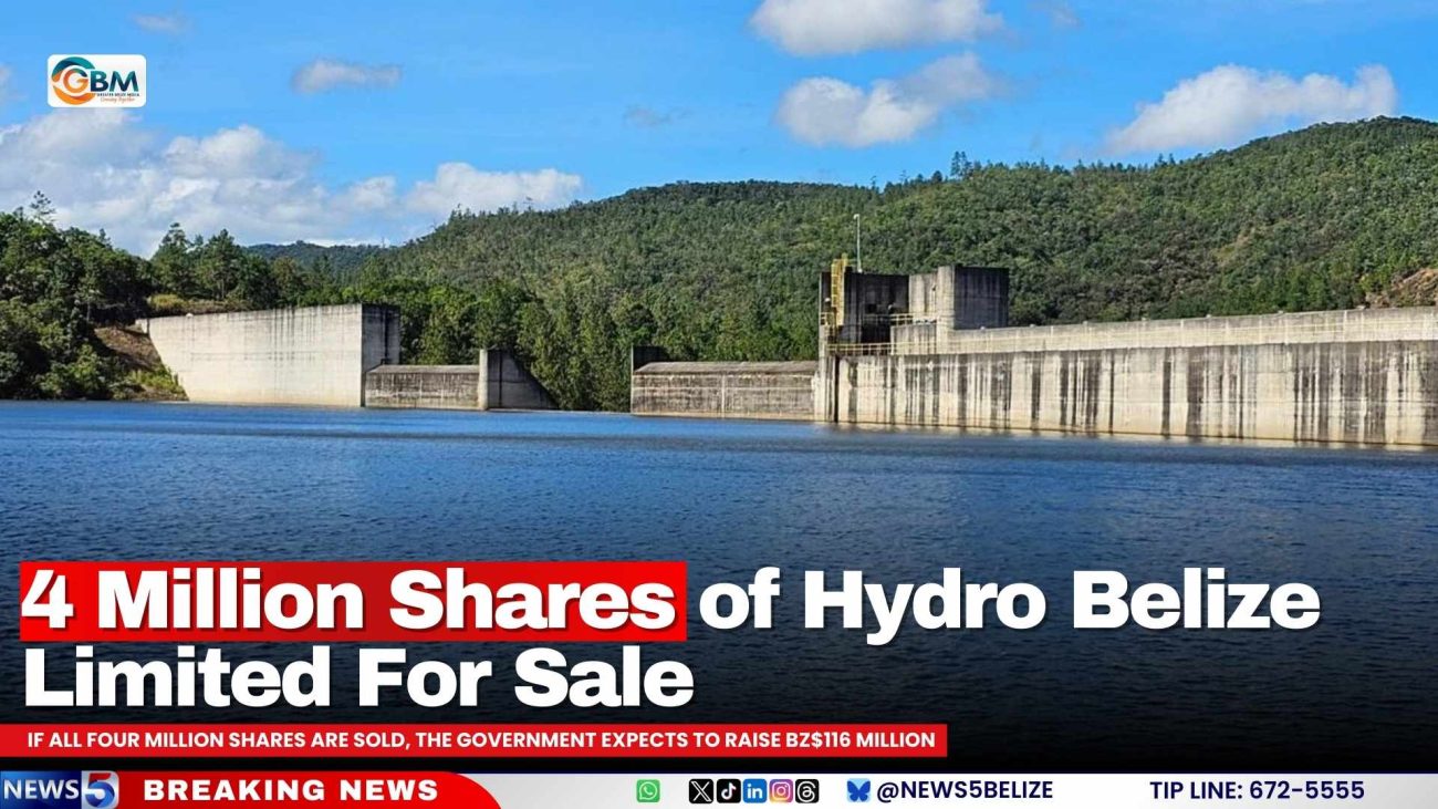 4 Million Shares of Hydro Belize Limited For Sale