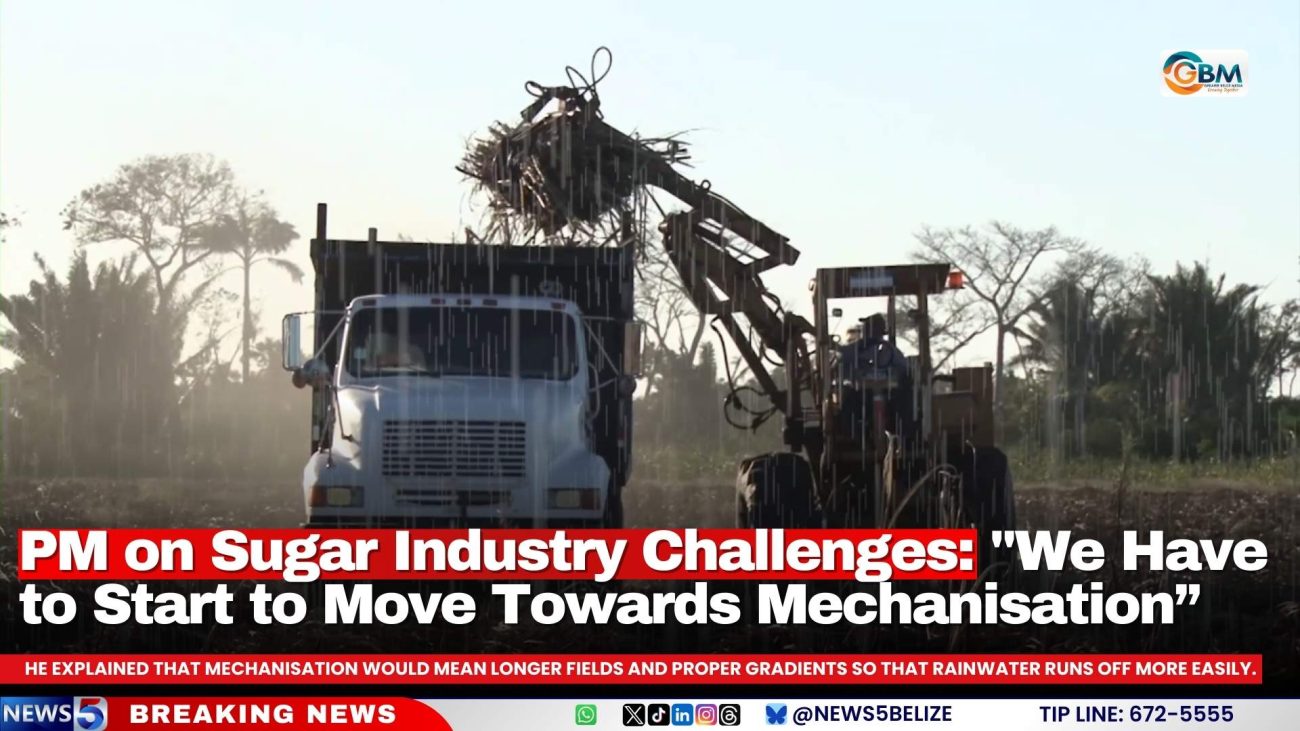 PM on Sugar Industry Challenges: "We Have to Start to Move Towards Mechanisation”