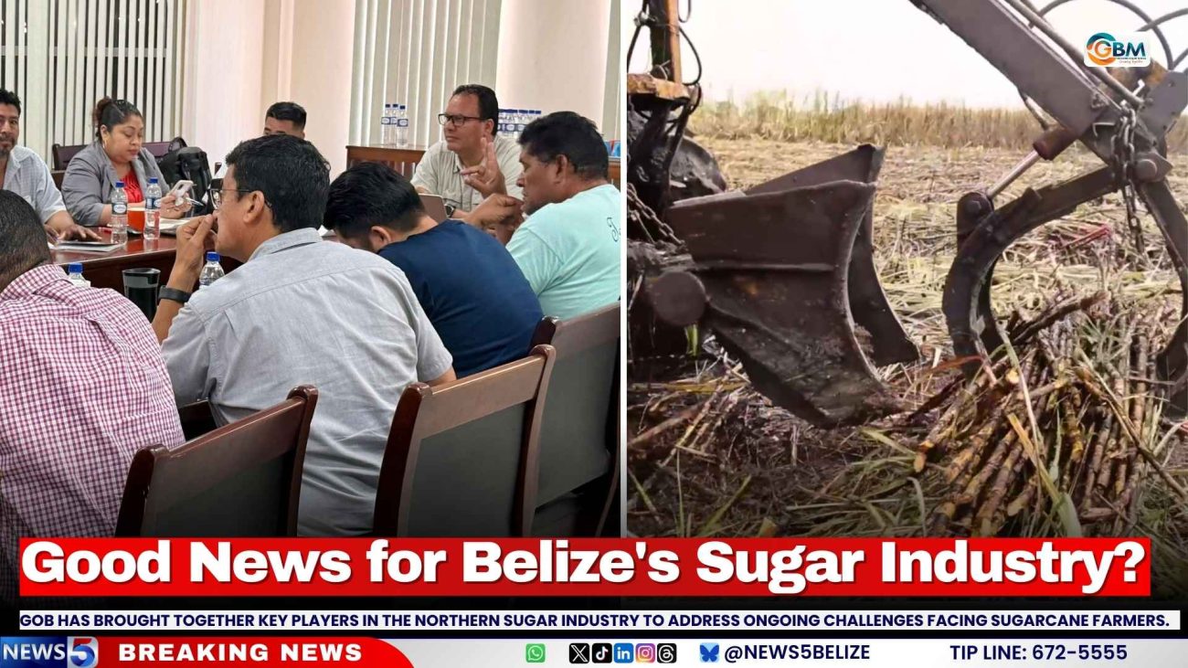 Good News for Belize's Sugar Industry?