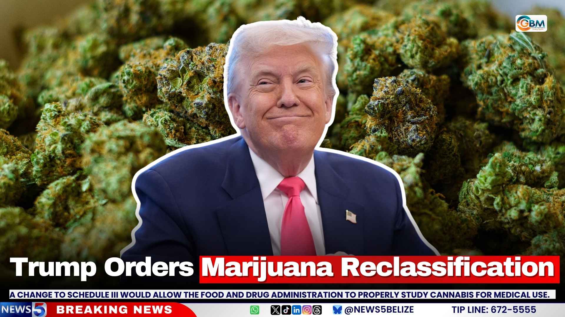 Trump Orders Marijuana Reclassification