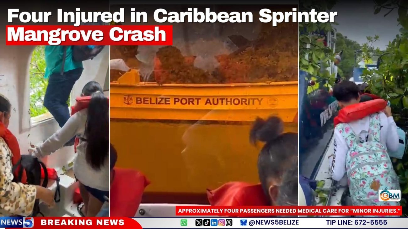 Four Injured in Caribbean Sprinter Mangrove Crash