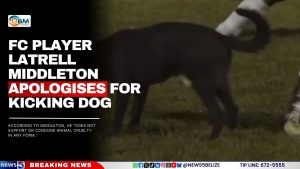 FC Player Latrell Middleton Apologises For Kicking Dog 