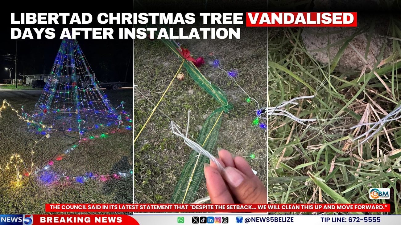 Libertad Christmas Tree Vandalised Days After Installation