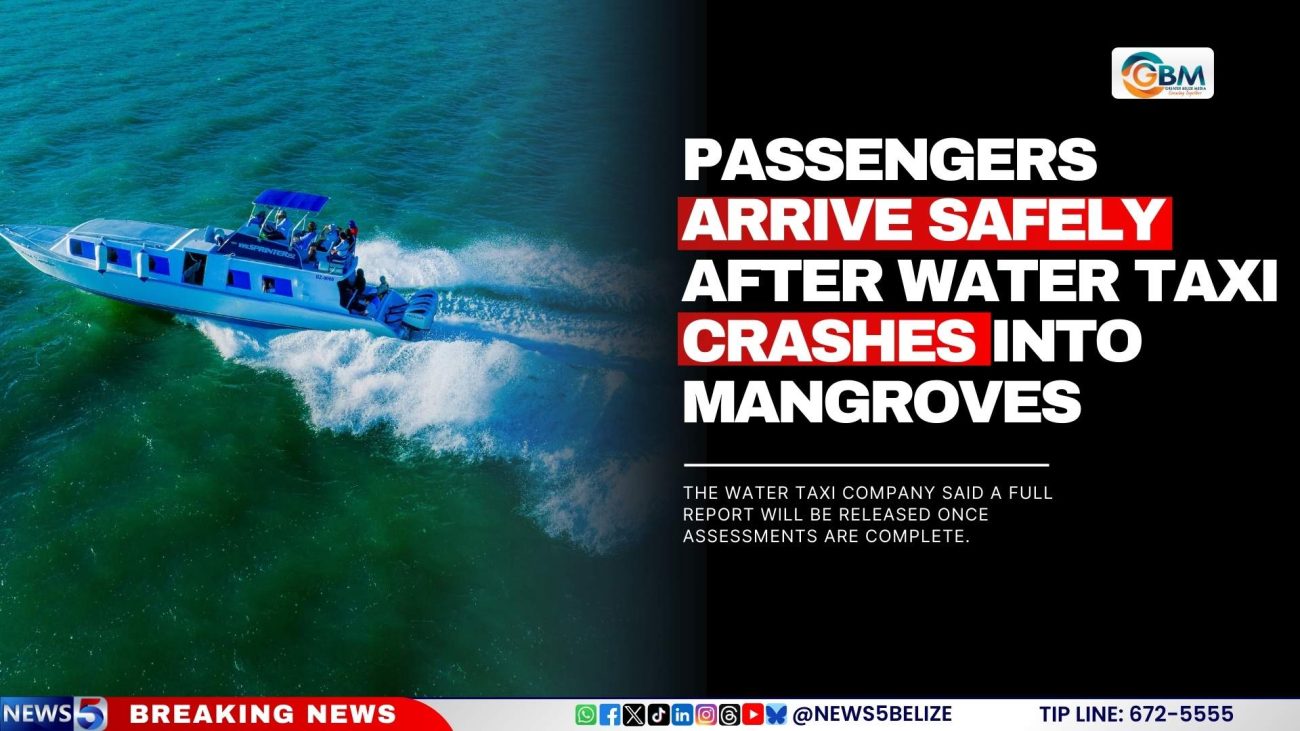 Arrive Safely After Water Taxi Crashes into Mangroves