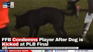 FFB Condemns Player After Dog Kicked at PLB Final