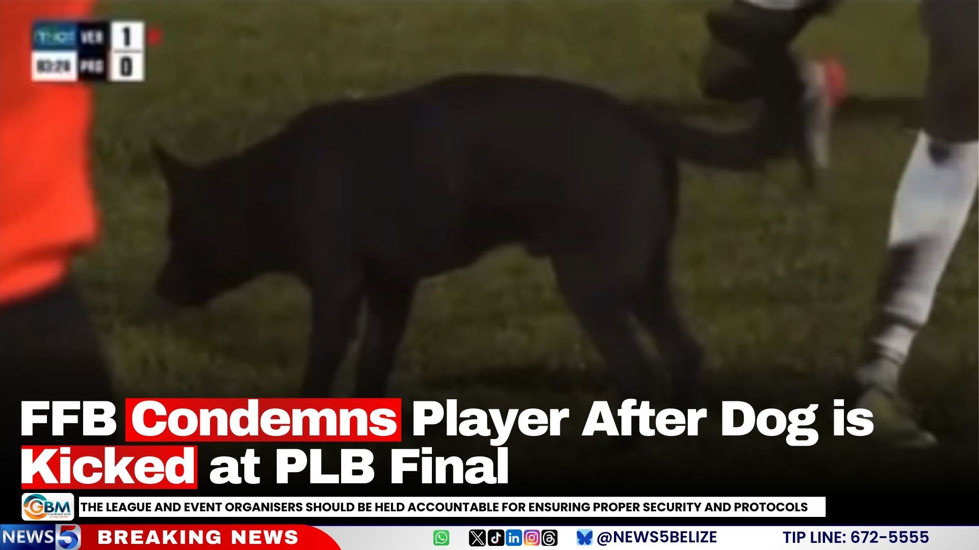 FFB Condemns Player After Dog is Kicked at PLB Final