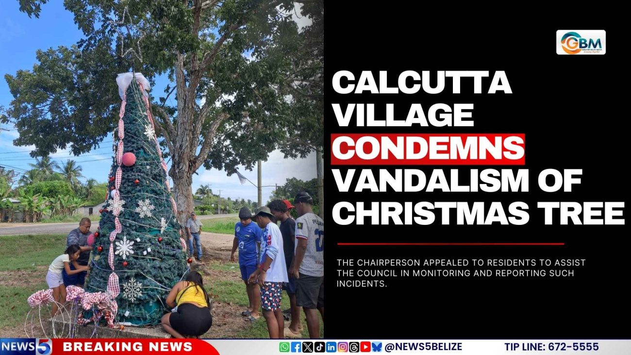 Calcutta Village Condemns Vandalism of Christmas Tree