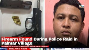 Firearm Found During Police Raid in Palmar Village