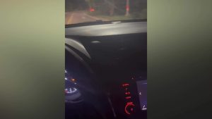 Voice of: Tiffany Cadle