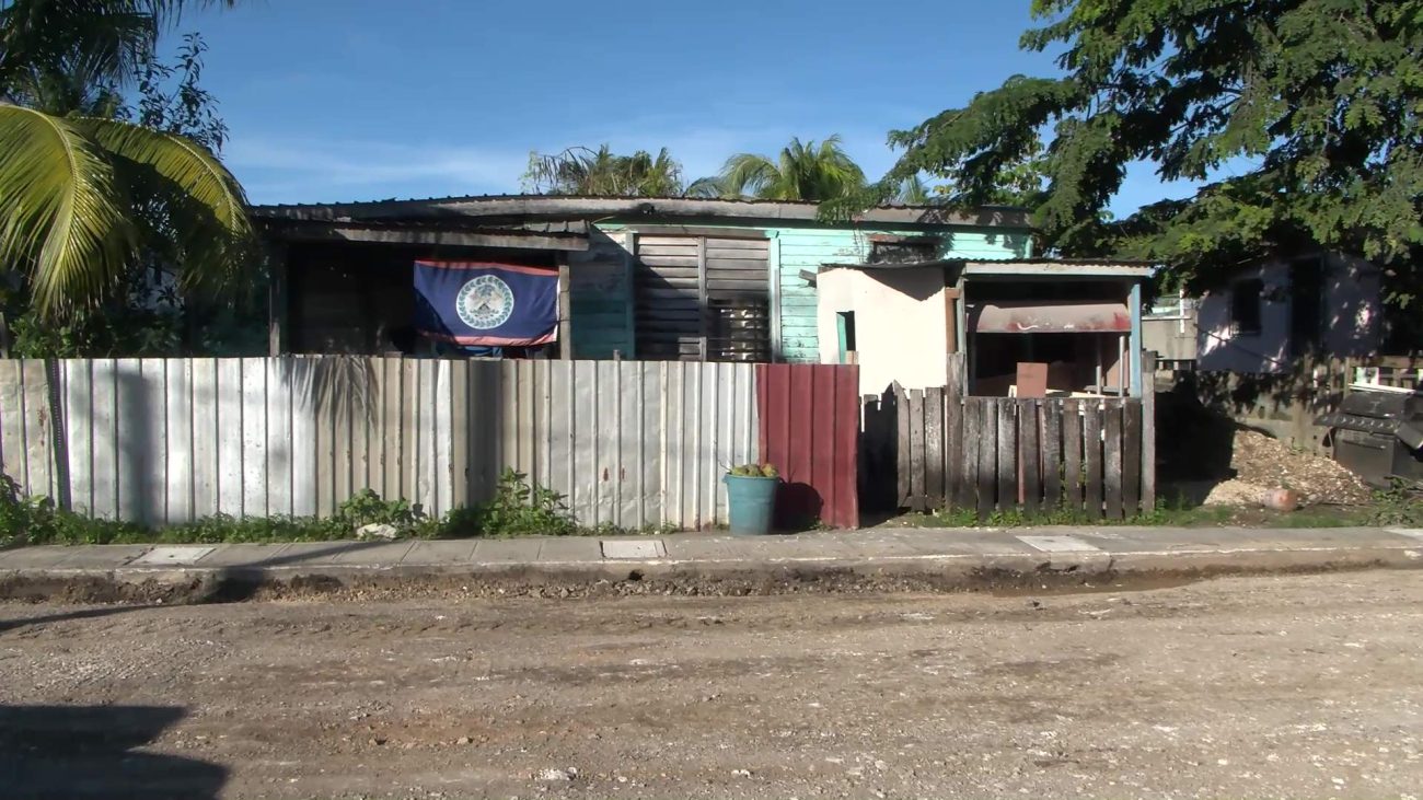 Iguana Street Gets a Facelift, But One Resident Pays the Price