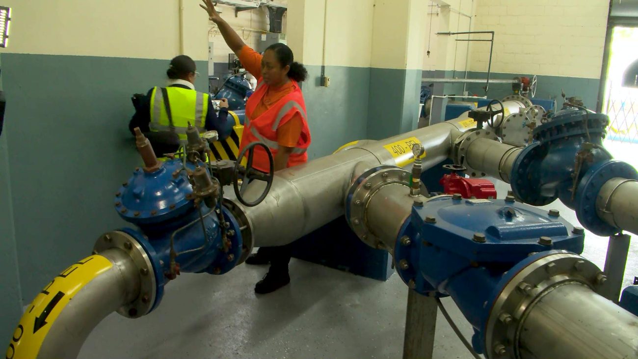 BWS busca aclarar dudas públicas