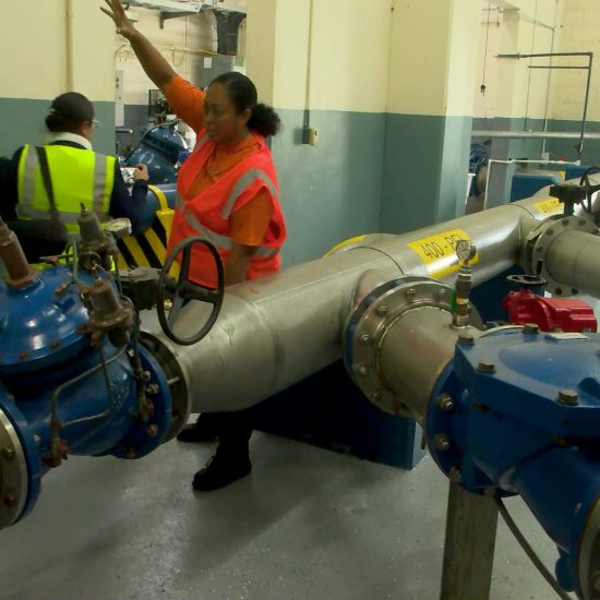 BWS busca aclarar dudas públicas