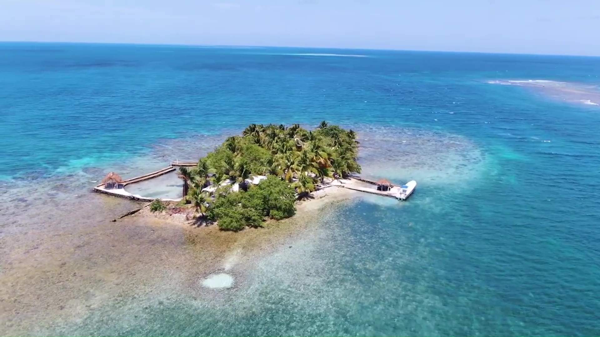 Remove term: A Sapodilla Victory Isn’t Enough Without Enforcement A Sapodilla Victory Isn’t Enough Without Enforcement