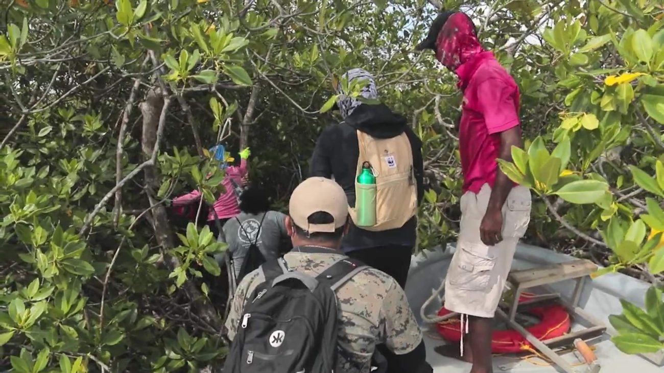 Tour Guides and Fisherfolk Fear Fallout from Marine Protection Plan