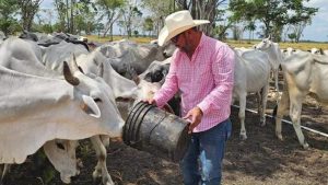 Jose Mai Sets the Record Straight After Shocking Cabinet Departure