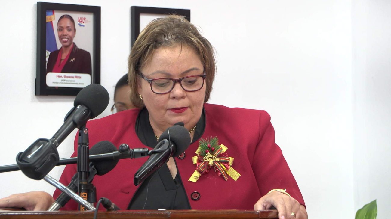 Tracy Panton Questions PM’s Account, Offers Well Wishes to José Mai