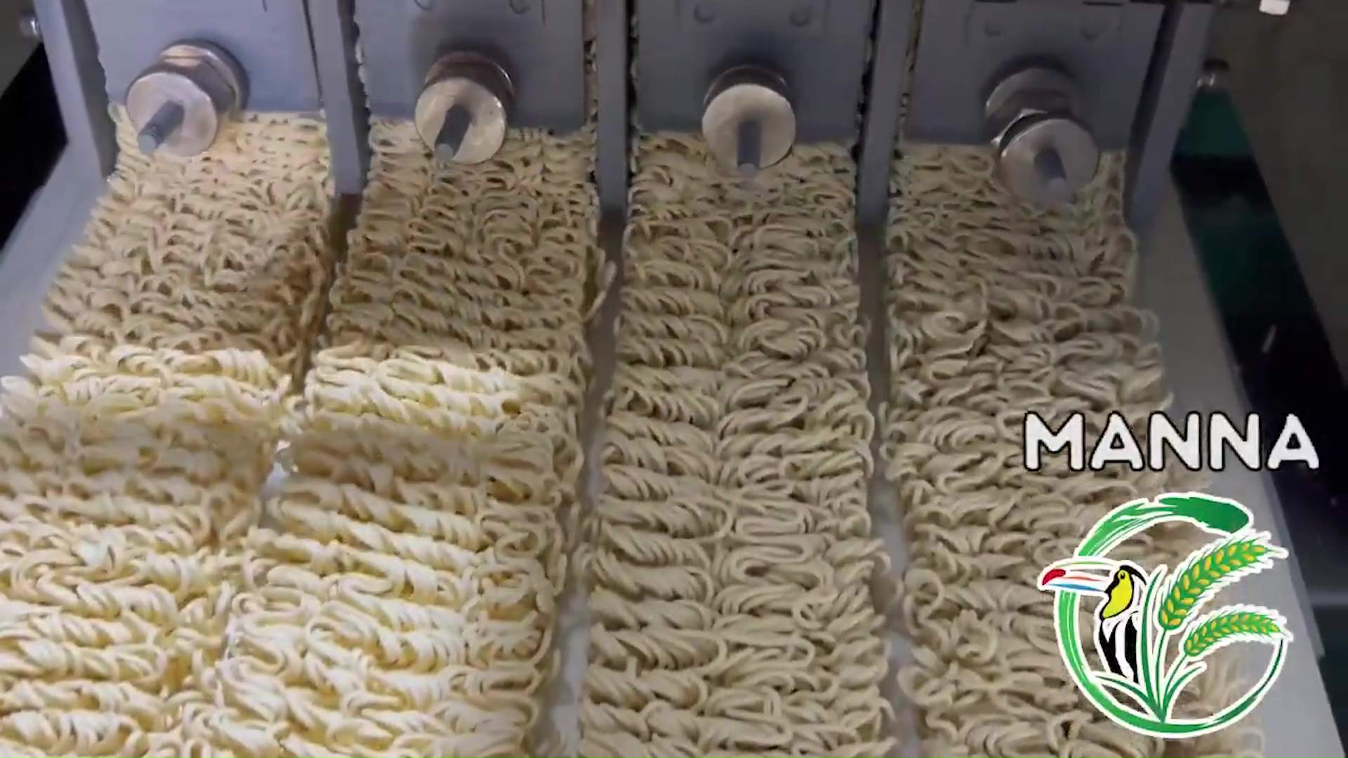 GOB Pushes Local Manna Noodles Amid Opposition Criticism