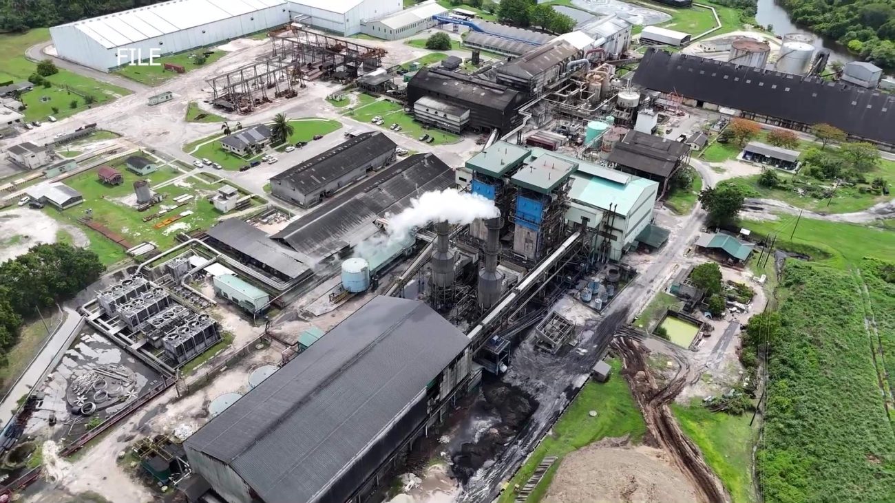 Three Years or Seven? Sugar Crop Hinges on Deal  