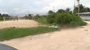 Animal Abuse in Belize City Ignites Public Outcry and Reform Push