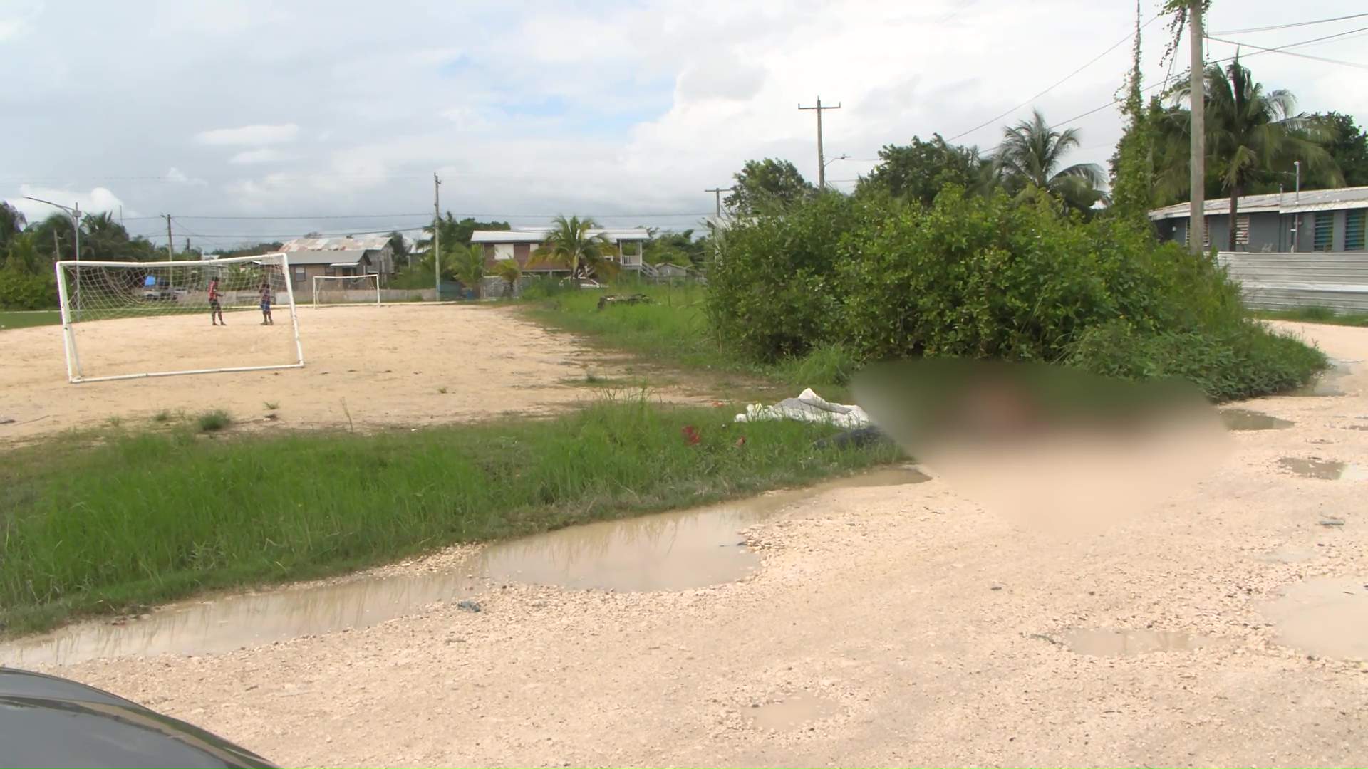 Animal Abuse in Belize City Ignites Public Outcry and Reform Push