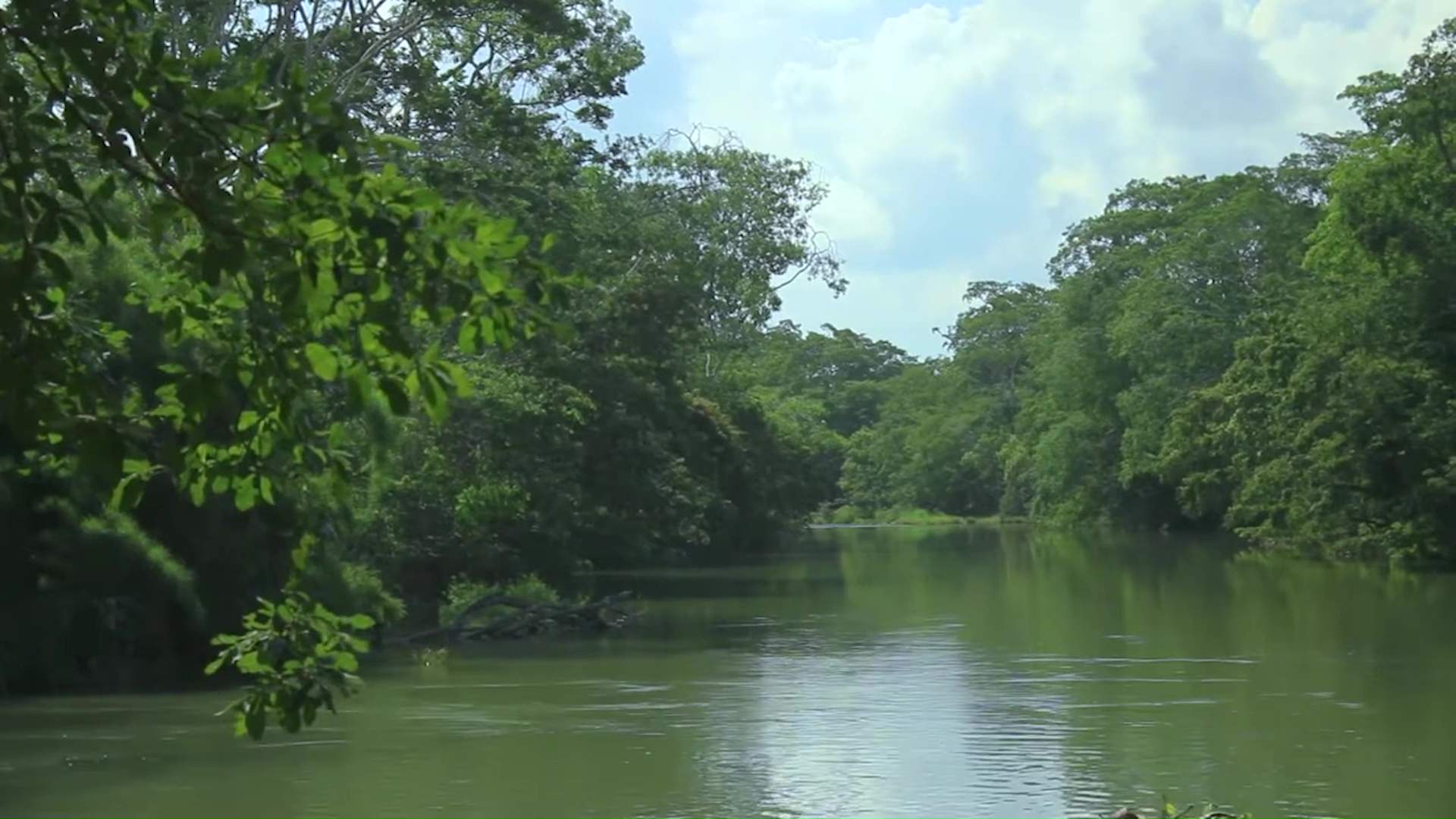 Can Belize Protect Chiquibul Before It’s Too Late?  