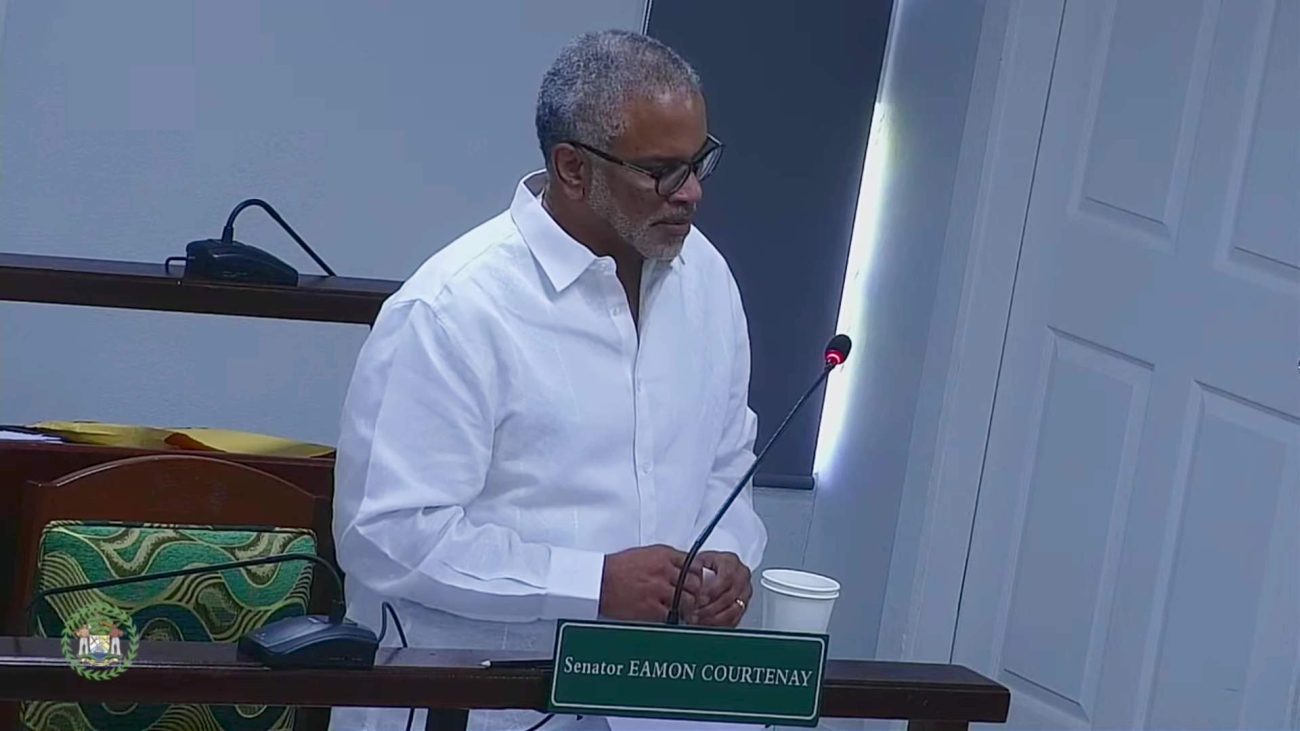 High Cost, Few Details: George Price Rehab Under Scrutiny