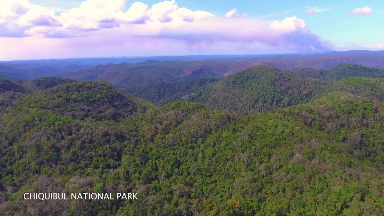 Julius Espat Calls for Unity to Protect Chiquibul Forest