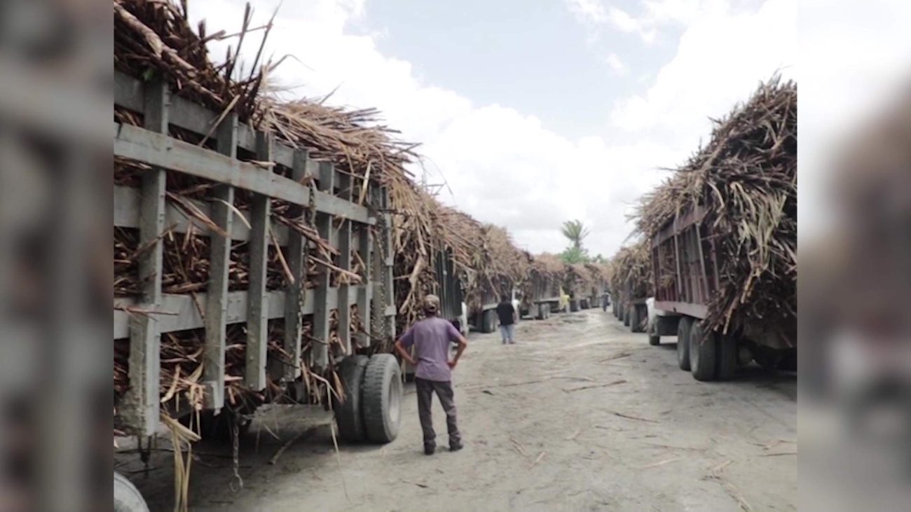 PM Briceño Eyes Breakthrough in Sugar Negotiations