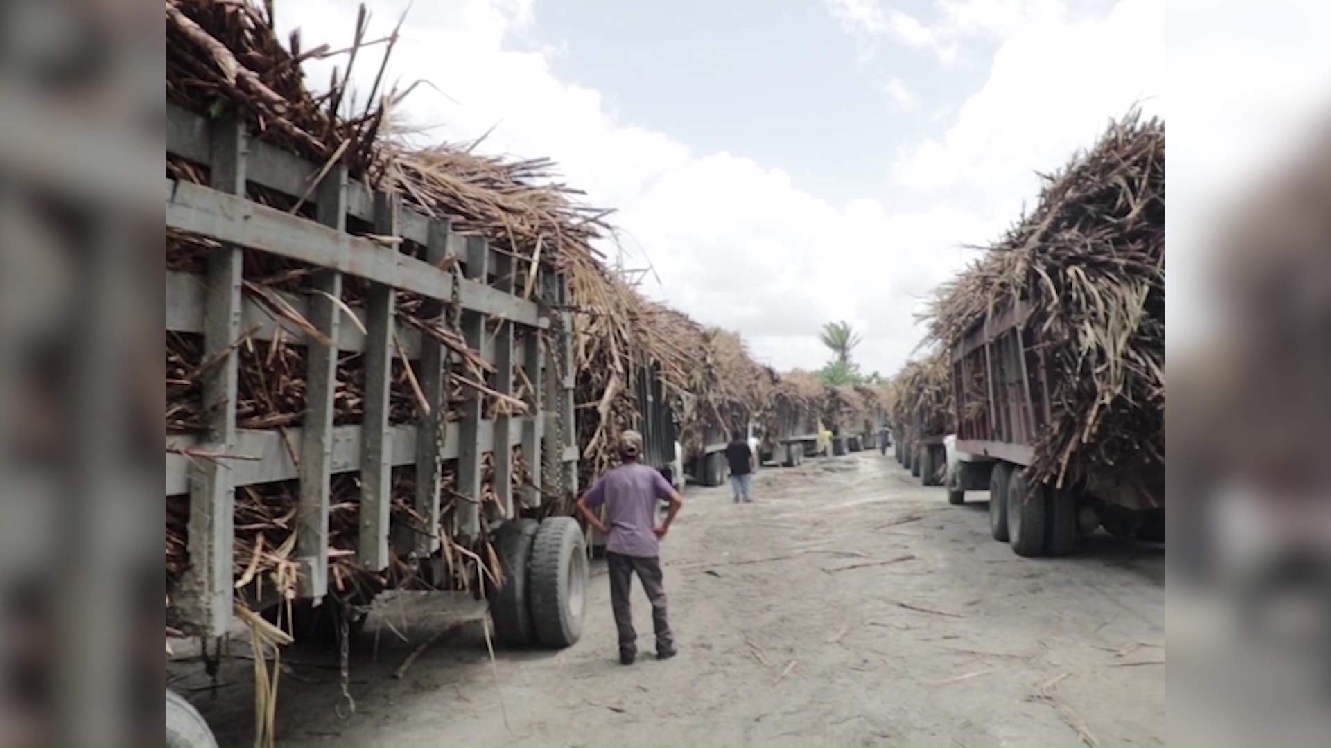 PM Briceño Eyes Breakthrough in Sugar Negotiations