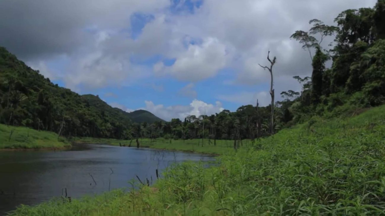 PM Briceño Mediates Tensions Over Chiquibul Operations  