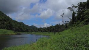 PM Briceño Mediates Tensions Over Chiquibul Operations   