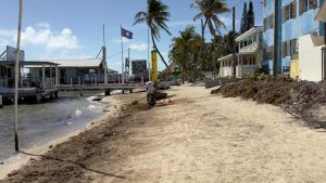 Sargassum Fuels Growing Erosion Crisis in San Pedro