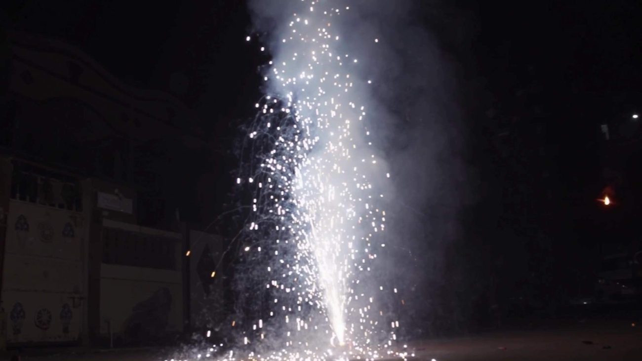 Fireworks Bring Joy to Us, But Fear to Our Pets