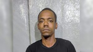 Man Charged After Tossing Gun on Pelican Street