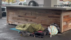 CitCo Calls for United Action on Mental Health Crisis