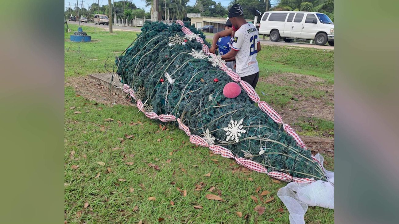 Who Tore Down Calcutta’s Christmas Tree?