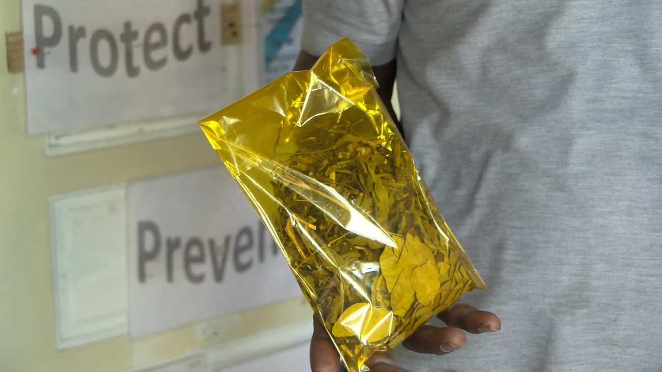 Health Officials Urge Vaccination as H3N2 Nears Belize