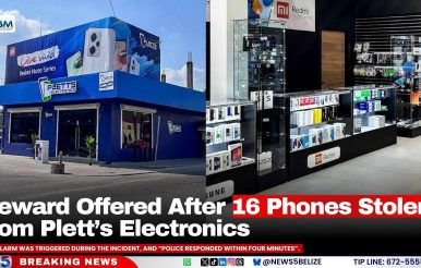 Reward Offered After 16 Phones Stolen from Plett’s Electronics