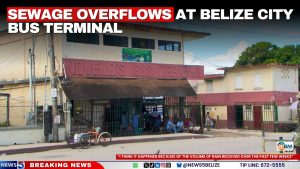 Sewage Overflows at Belize City Bus Terminal