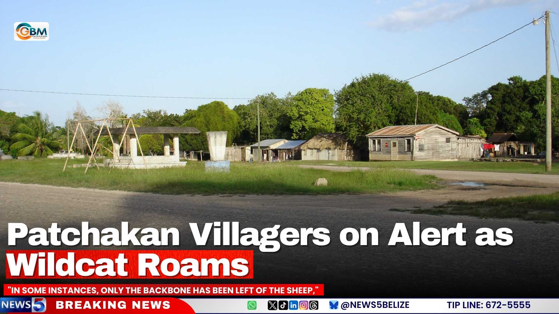 Patchakan Villagers on Alert as Wildcat Roams