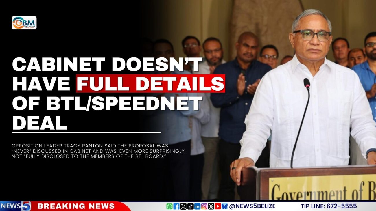 Cabinet Doesn’t Have Full Details of BTL/SpeedNet Deal