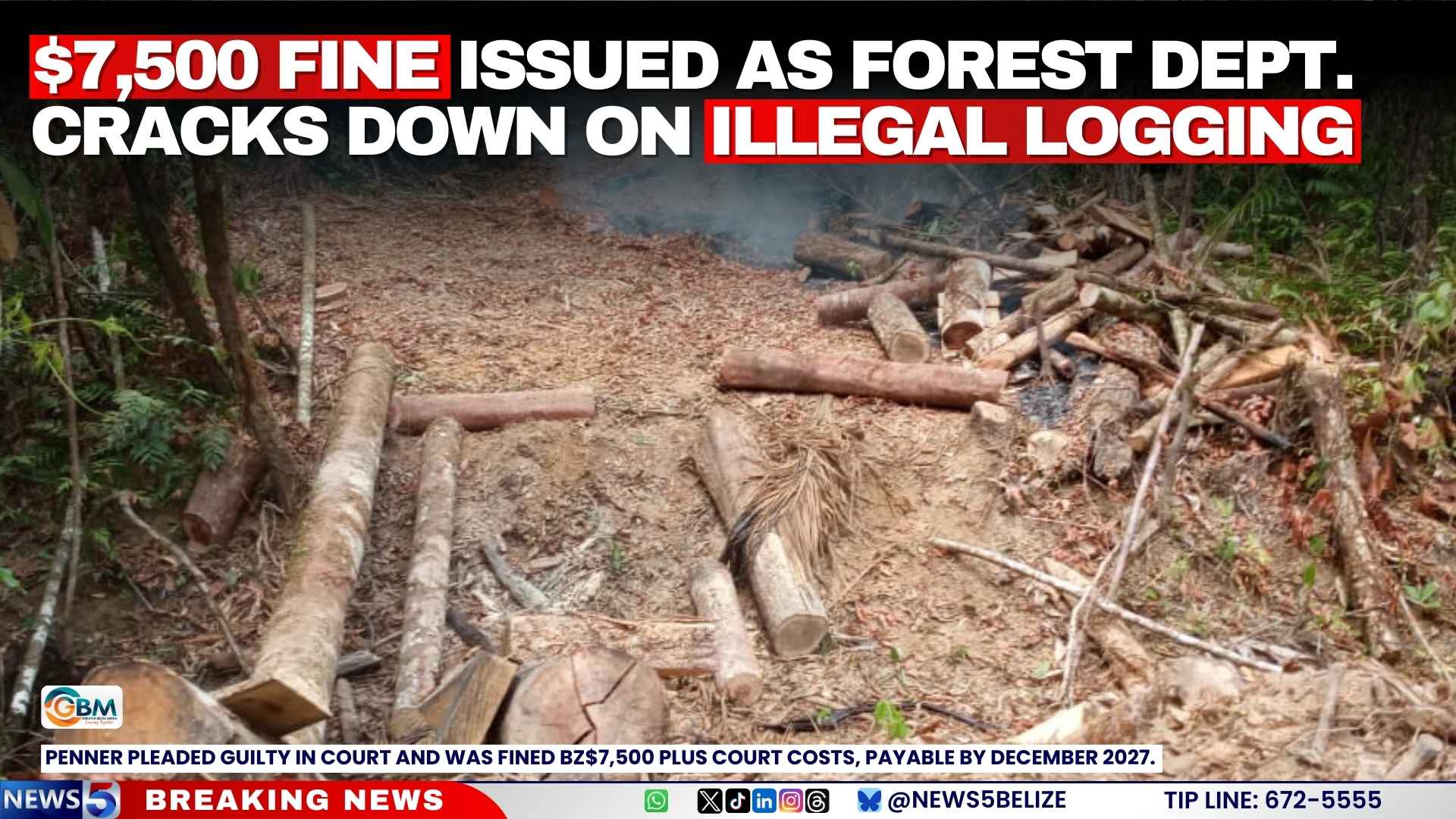 $7,500 Fine Issued as Forest Dept. Cracks Down on Illegal Logging