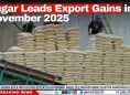 Sugar Leads Export Gains in November 2025